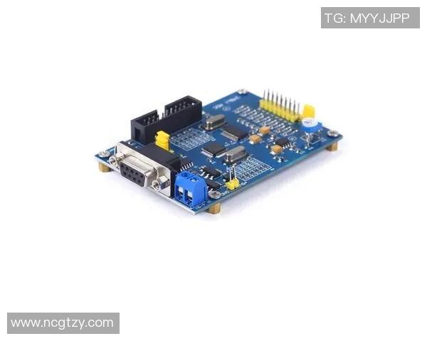 ViperADC带你深入分析ADC位置的核心玩法与策略技巧