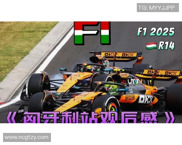 《激烈角逐与不屈拼搏 2025国际体育赛事全面回顾与分析》