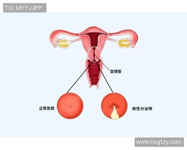 如何通过科学健身提高身体素质与健康水平打造完美身形的全面指南