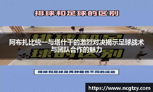 bob官网